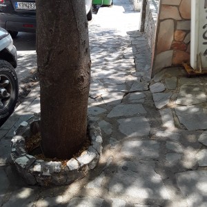 20200731_142541.jpg