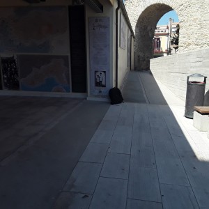 20200811_113032.jpg