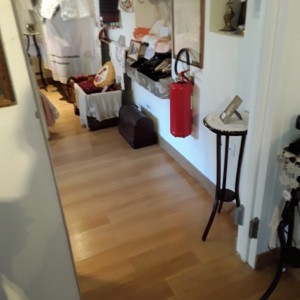 20200811_115531.jpg
