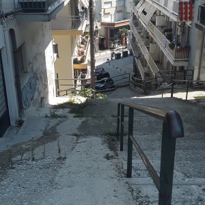 20200731_144425.jpg