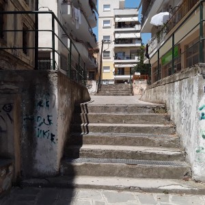 20200731_131045.jpg