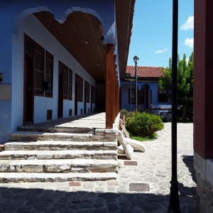 20200810_115608.jpg