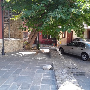 20200810_115620.jpg