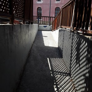 20200810_115833.jpg