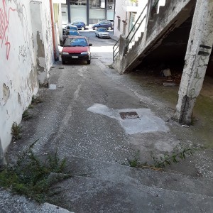 20200810_111811.jpg