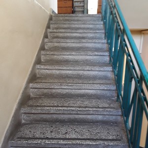 20200810_112225.jpg