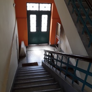 20200810_113635.jpg