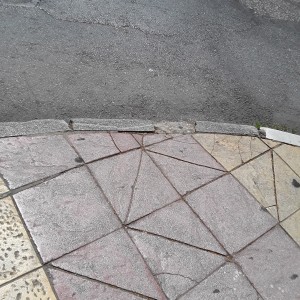 20200729_124200.jpg