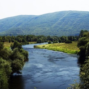 05.jpg
