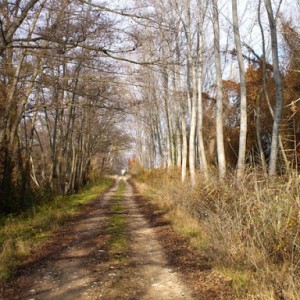 06.jpg