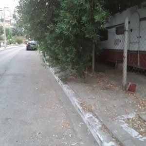 20200730_204411.jpg