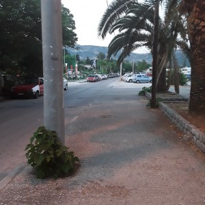 20200730_204854.jpg