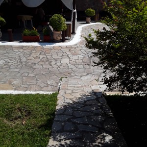 20200819_120516.jpg