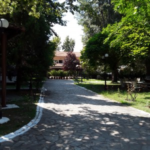 20200819_120543.jpg