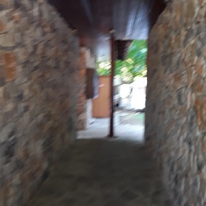 20200819_120553.jpg