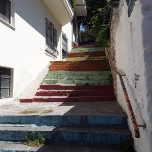 20200820_131904.jpg