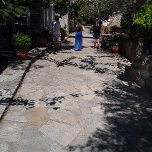 20200814_130316.jpg