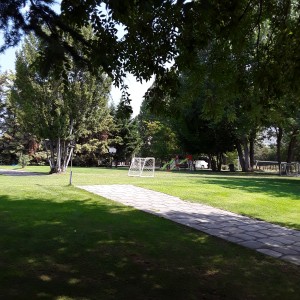 20200819_112517.jpg