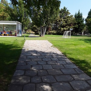 20200819_112524.jpg