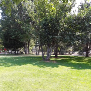 20200819_112526.jpg