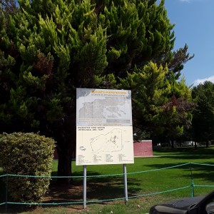 20200819_112703.jpg