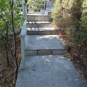 20200813_121919.jpg