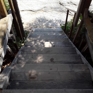 20200813_121942.jpg