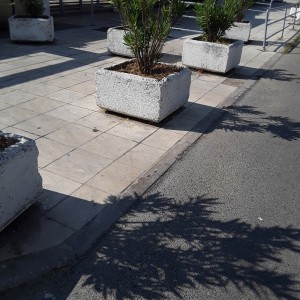 20200813_102052.jpg