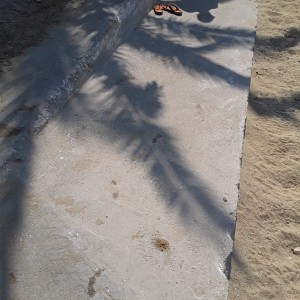20200813_103847.jpg
