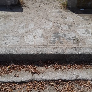 20200814_115556.jpg