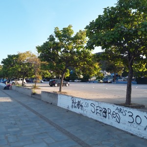 20200828_190932.jpg