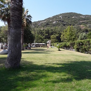 20200813_114602.jpg