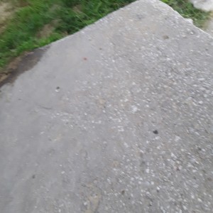 20200828_193827.jpg