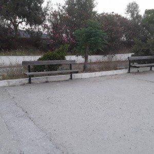 20200730_203152.jpg