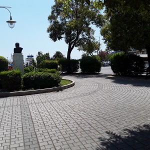 20200729_132720.jpg