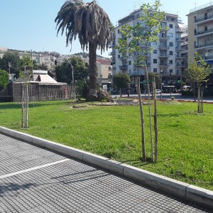 20200730_101330.jpg