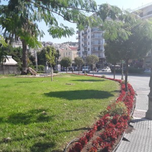 20200730_101401.jpg