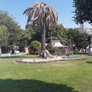 20200730_101435.jpg