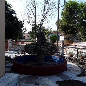 20200819_100056.jpg
