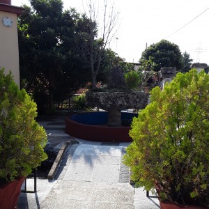 20200819_100104.jpg