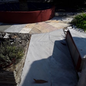 20200819_100126.jpg