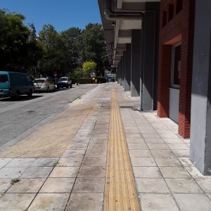 20200820_121513.jpg