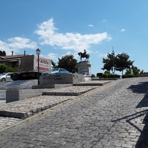 20200810_124246.jpg