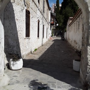 20200807_104240.jpg