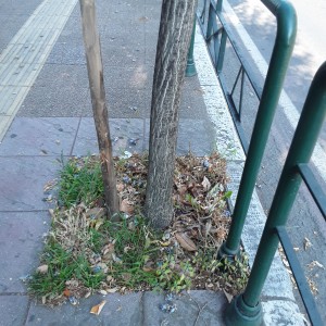 20200730_090934.jpg