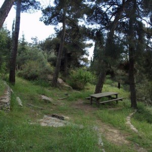 pk06.jpg
