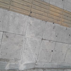20200729_134924.jpg